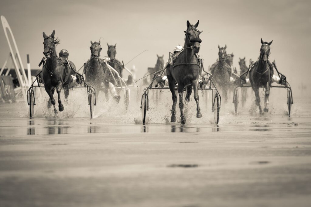 grayscale photo of group of horse with carriage running on body of water